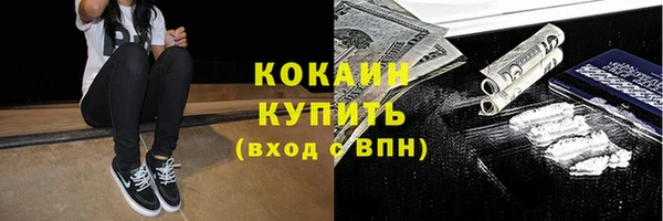 индика Балахна