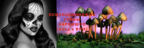 индика Балахна