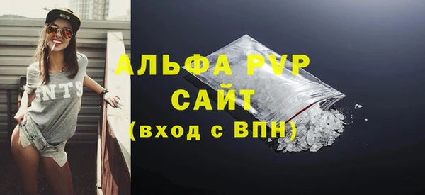 индика Балахна