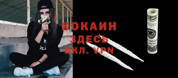 индика Балахна