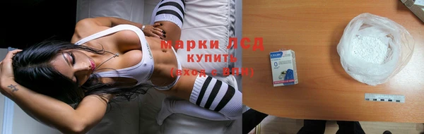 индика Балахна