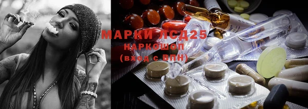 индика Балахна