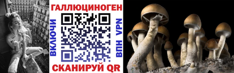 Галлюциногенные грибы прущие грибы  даркнет сайт  кракен ONION  Афипский 
