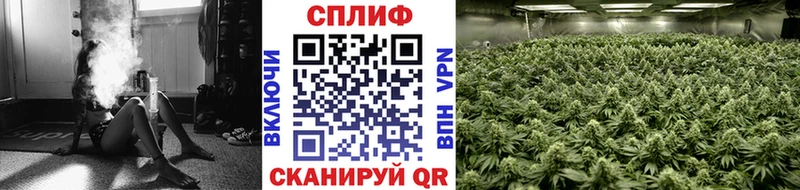 Марихуана SATIVA & INDICA  Афипский 